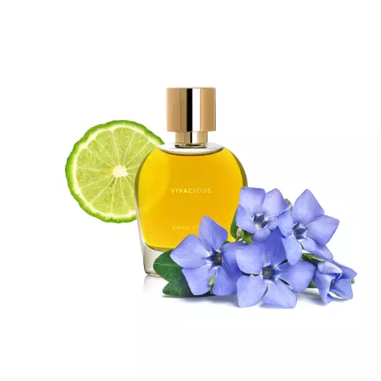 Örnek Ürün 7 - Bayi & Tanıtım Ürünü